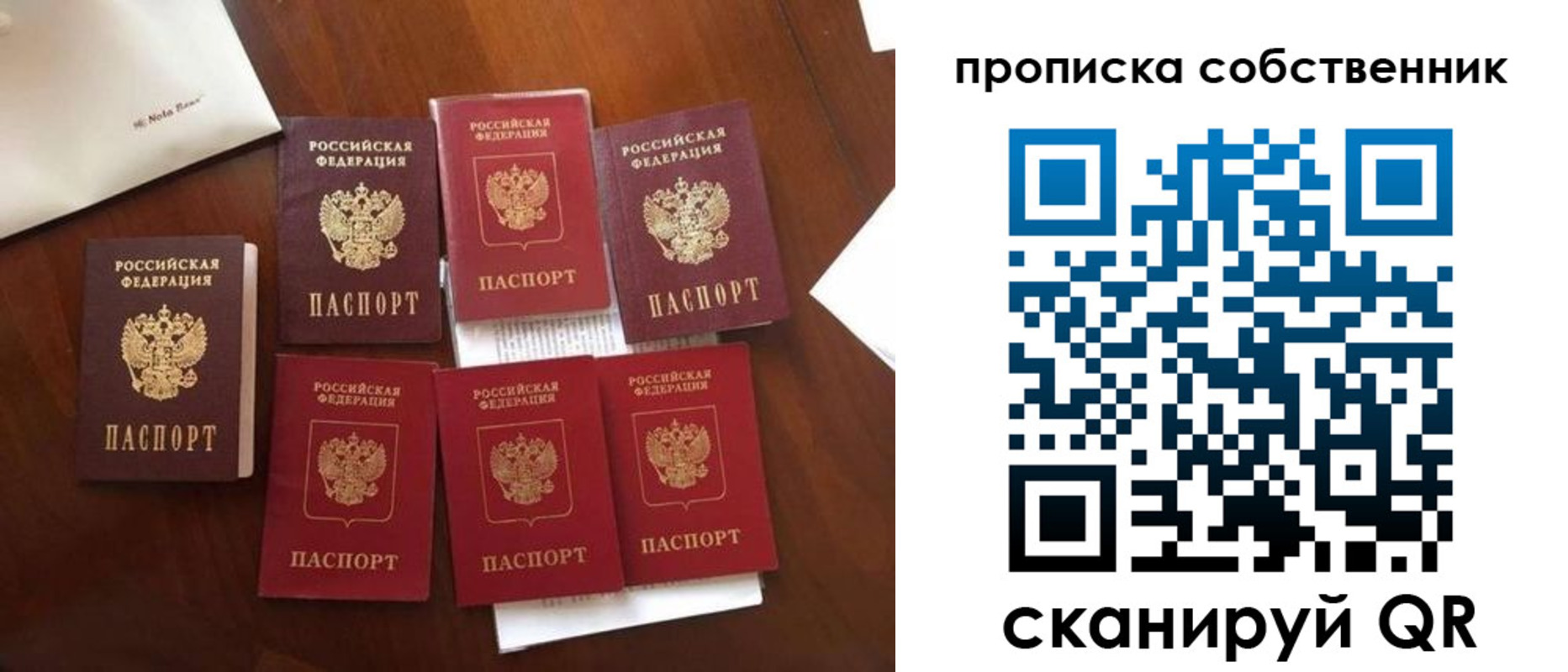 прописка для школы в Королёве